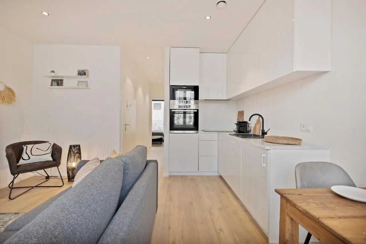 Cosy Apartments @ City Center Antverpy